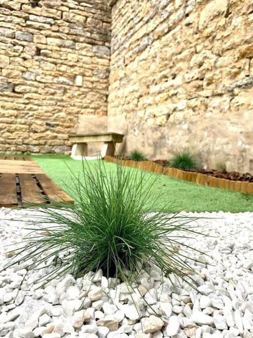 L'eden, 4 Prs Avec Jardin En Centre * Dijon